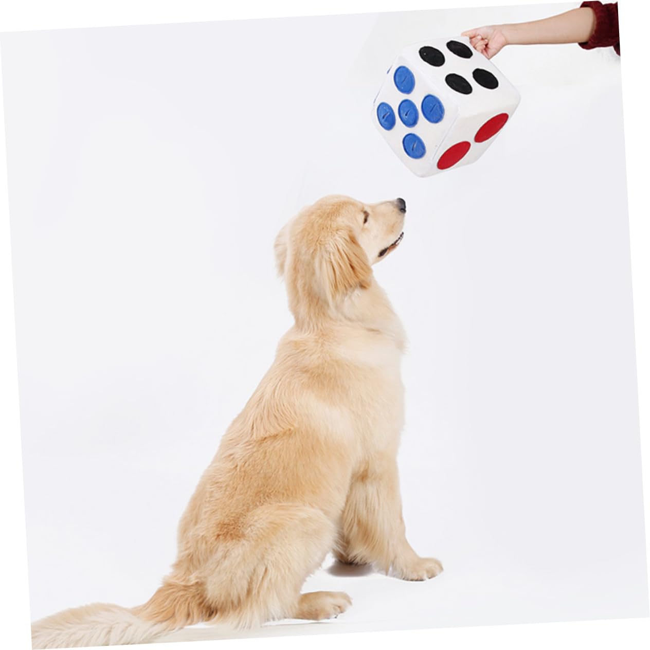 BESPORTBLE Distributeur De Croquettes pour Animaux Jouet Olfactif Forme De Dé Anti-étranglement Alimentation Lente Lavable