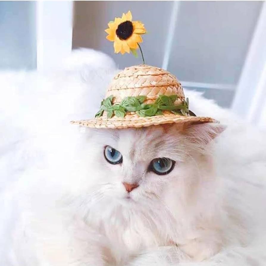 麦わら帽子Ꮇお好みカラー✗ホワイト犬・猫 プルメリア装飾❁handmade 57 ペット用品 麦わら帽子Ꮮお好みカラー✗ホワイト犬・猫