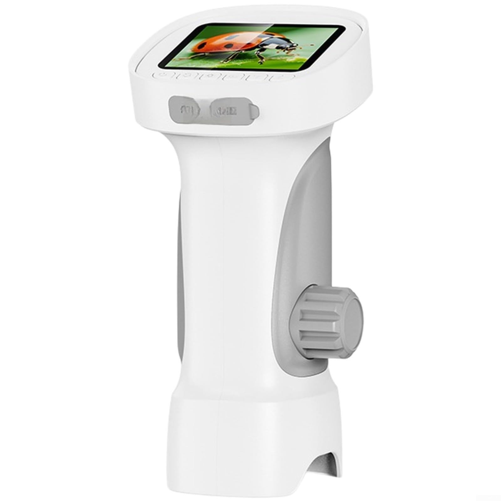 Microscopio digital con pantalla IPS de 2,4 pulgadas (naranja) | Para aumento de 1000x, 8 luces LED, para carga USB C para niños, laboratorio de ciencia, escuela, azul