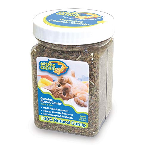 Cosmic Pet 2.25 Ounce Cup Catnip