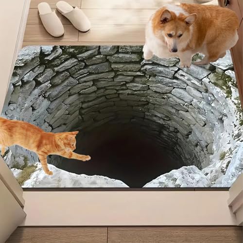 2026 New 3D Hole Rug, Optical Illusion Rug, Carpet Bottomless