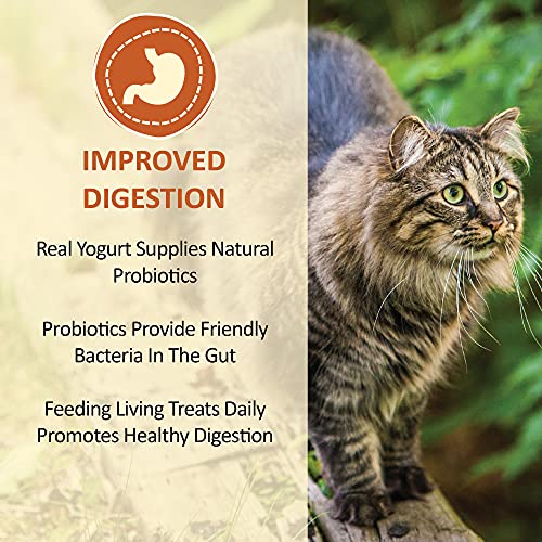 Whole Life Pet Living Treats for Cats Healthy Gut with Chicken and