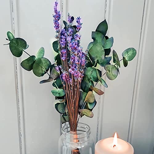 15 tallos de eucalipto y lavanda seca preservada miniatura 6