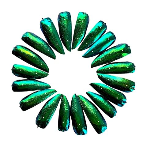 Sunne Tropical - DRILL (HOLE) 100 Pcs Jewel Beetle Elytra Natural Wings for Art Craft Apparel Sewing Beads Embroidery Design (Green 2 Holes A), Yellow Gold, multi color amber Cover