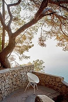 Amazon｜Kartell(カルテル) チェア 『SMATRIK OUTDOOR(スマ