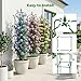 2 Pack Garden Obelisk Trellis for Climbing Plants, 6 FT Metal Rustproof Plant Support Rose Trellis, Tower Potted Cages for Flowers Fruits Vegetable Vines Indoor & Outdoor, Green(4 Tiers)