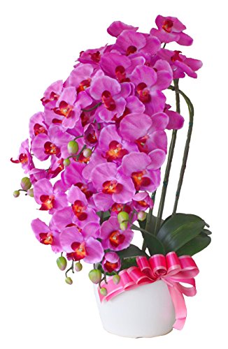 山久 造花 シルクフラワーの胡蝶蘭 5本立 ラベンダー 鉢白 常滑陶鉢の鉢植 CT触媒加工(消臭分解・防汚作用) 開店祝い ギフト