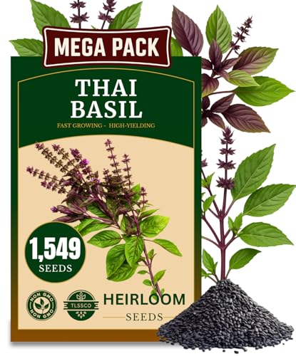 1549+ Thai Basil Seeds Non-GMO Herb Seeds for Planting - Fast Growing High-Yield & Authentic Flavor - (Ocimum basilicum VAR.thyrsiflora)