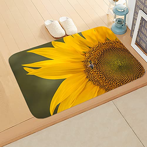 Paillasson exterieur antiderapant 80x120 lavable pour entree et couloir
