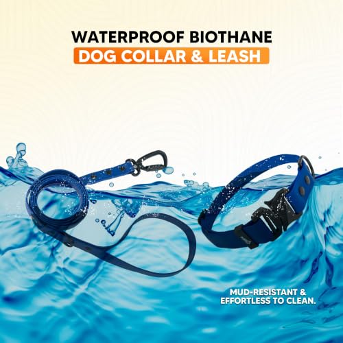 Image of Adil's Biothane Waterproof Dog Collar, Dog Leash & Collar Leash Combo | Heavy Duty TPU Coated Webbing | Adjustable Quick Release Buckle | Odour Resistant (Blue, M-18, Collar & Leash Combo)