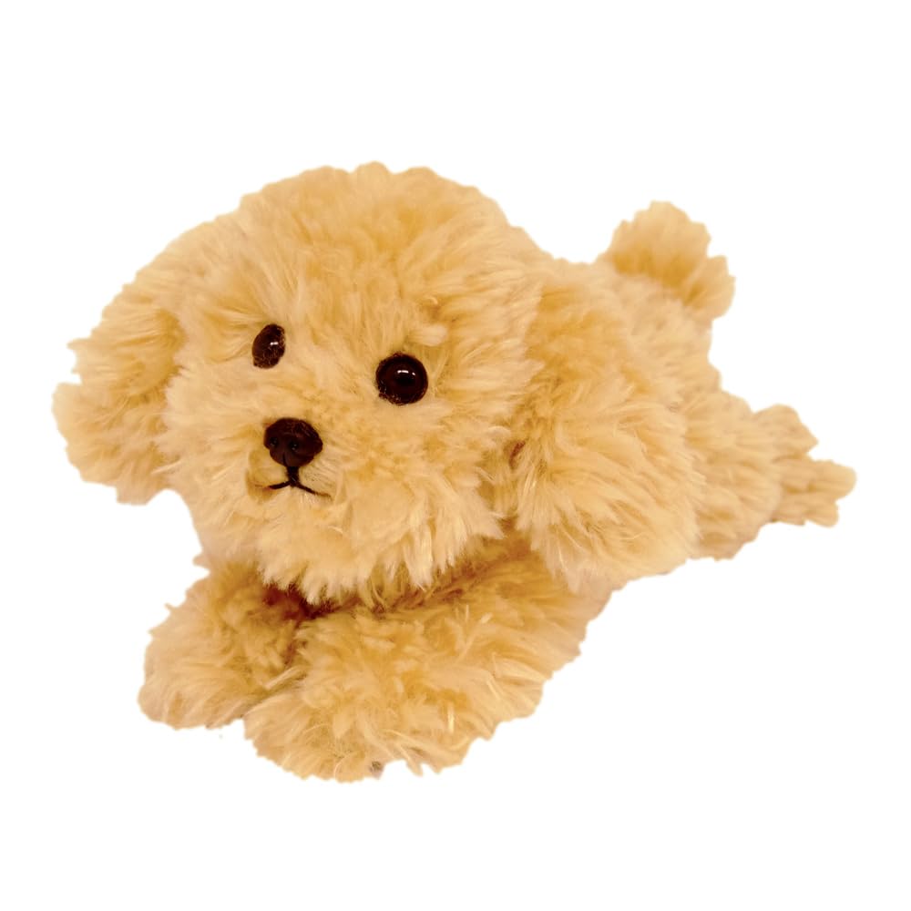 ふわふわモコモコ·͜·ᰔᩚひざわんこ トイプードル Amazon.co.jp: サンレモン ひざわんこ トイプードル SS BE 15×26×12cm