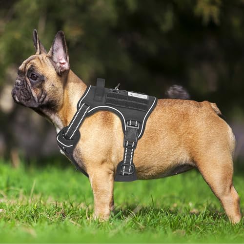 Haapaw Heavy Duty Taktisches Hundegeschirr für mittelgroße Hunde, kein Zug Verstellbares Haustiergeschirr Reflektierendes Service Training Einfache Steuerung Haustierweste Militär Arbeiten