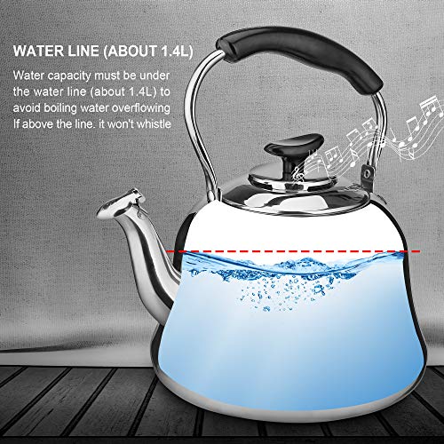 2 Liter Whistling Tea Kettle, ENLOY Stainless Steel Stovetop Teakettle Teapot, Bakelite Insulated Handle, Mirror Finish