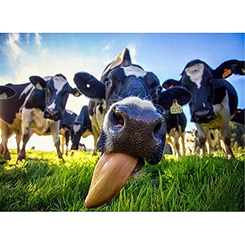 大人のパズル500ピース3Dパズル牛 家族のゲームチームビルディングの恋人や友人へのゲームギフト 家族全員で楽しめるカラフルなポーズゲームスキルゲーム