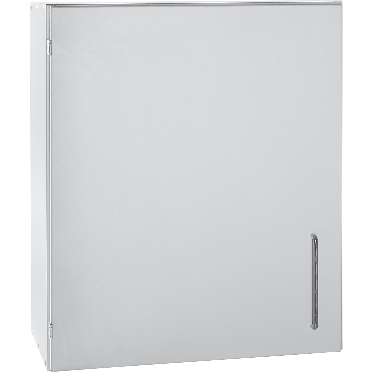 Kaiser + Kraft Labor-Hängeschrank | 1 Flügeltür, BxTxH 600 x 400 x 750 mm