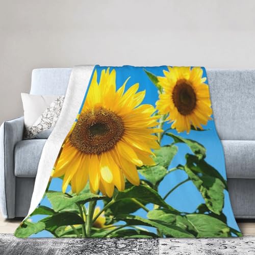 夏空とひまわりの花 エアコンブランケット コモコモ軽量マイクロファイバー 四季通用クーラーケープ用 125×150cm