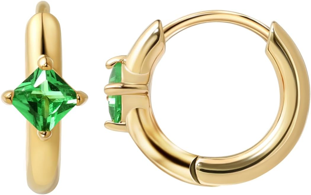 FANSING Birthstone Hoop Earrings for Women Lightweight 316L Surgical Steel Huggie Earrings