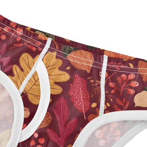 Dussdil Boy's Underwear Boys Briefs Toddler Cotton Training Underwear 2-6t4