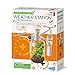 Price comparison product image 4M Green Science Weather Station