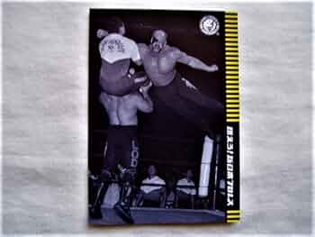 51BLLyk0h7L._AC_UF350,