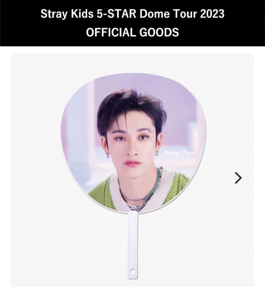 バンチャン うちわ バンチャン ソウルコン うちわ dominATE