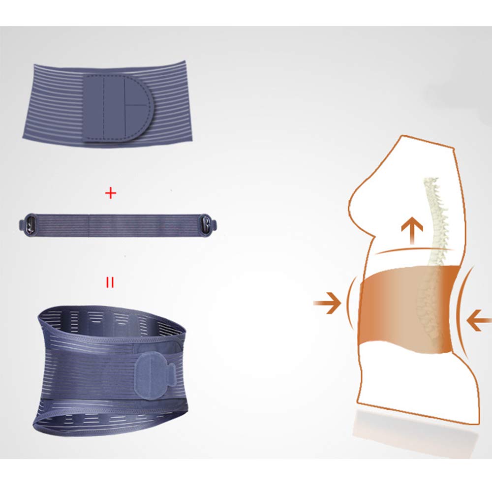 Fascia Lombare Supporto Schiena, Fascia Lombare per Mal di Schiena, Cintura Lombare con Molle di Rinforzo e Doppie Cinghie Regolabili, Fascia Schiena per Uomo e Donna,L