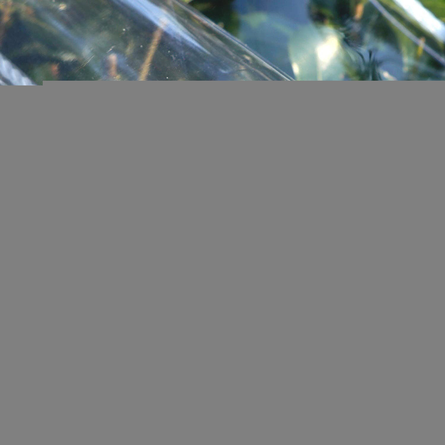 AMXFS Transparent tarpaulin with eyelets Cover tarpaulin 0.35mm Plant Protection Rain Curtains 5.5 * 2.5m PVC Glass Clear Waterproof Tarps Protective Tarpaulin for Garden