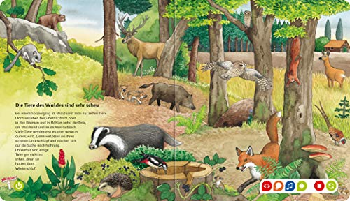 tiptoi® Bilderlexikon Tiere: Mit über 600 Geräuschen und Texten (tiptoi® Bilderbuch)