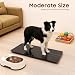 Báscula digital para perros grandes con pantalla LED Imagen de Báscula digital para perros grandes con pantalla LED