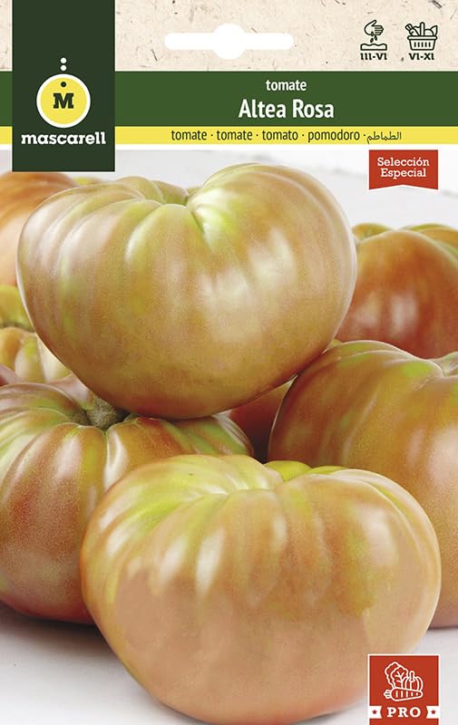Mascarell Semillas, TOMATE, Semillas Huerto, TOMATE ALTEA ROSA, Crea tu Propio Huerto Urbano y Cultivo en Casa, Plantas Hortícolas, 0,1 Gramos