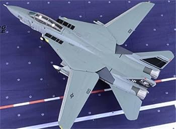 Amazon.com: for Century Wings F-14D for Tomcat U.S. Navy VF