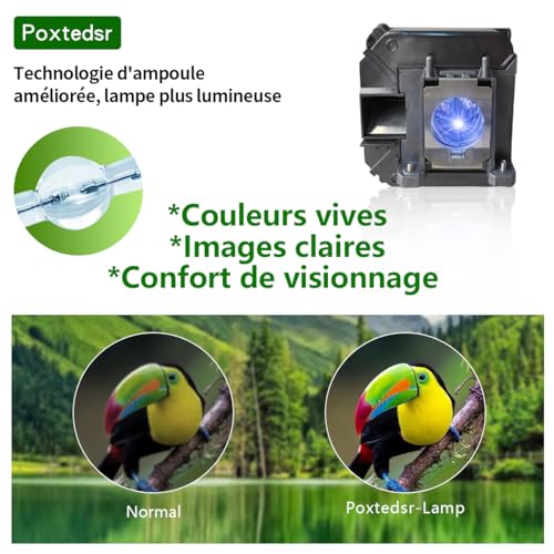 Poxtedsr EL PLP68 projektor Ersatzlampe Kompatibel mit Epson eh-tw5900 eh-tw5910 eh-tw6000 eh-tw6000w eh-tw6100 eh-tw6100w eh-tw6515c eh-tw5800c eh-tw6500c Ersatzlampe mit Gehäuse