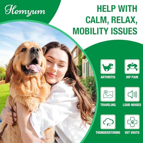 Image of Pet Hemp Oil for Dogs and Cats Organic Hemp Extract Drops Sleep Aid Anxiety Stress Hip & Joint Pain Relief Dog Calming Treats Rich in Omega 3-6-9 Natural Pet Hemp Oil（Natural）