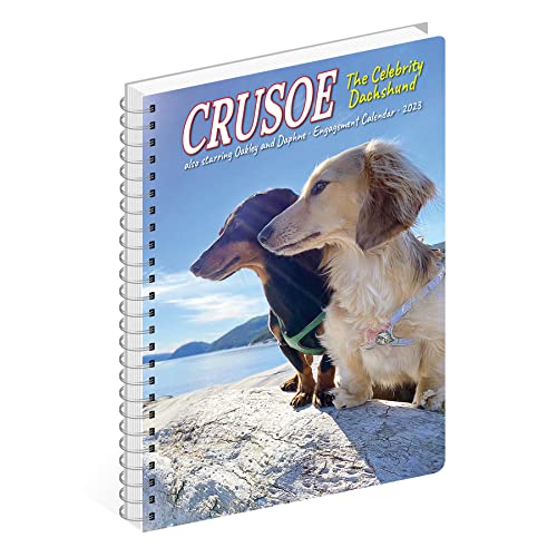 Crusoe the Celebrity Dachshund 2023 Engagement Calendar
