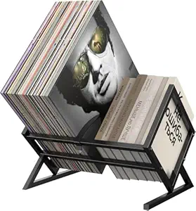 INDIDECOR 25037 Vinyl Record Holder, Metal Vinyl Record Storage with Side Baffles, 80-110 LP Storage, Minimalist Design for Protecting Files, Albums, Books, Magazines Record Organizer, Black