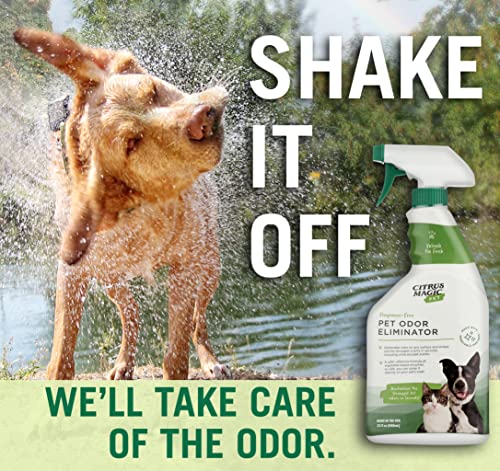 image for Citrus Magic Pet Odor Eliminator, 22-Fluid Ounce, Green, 1 Pack