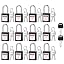Black-Keyed Different-12pack-2master key