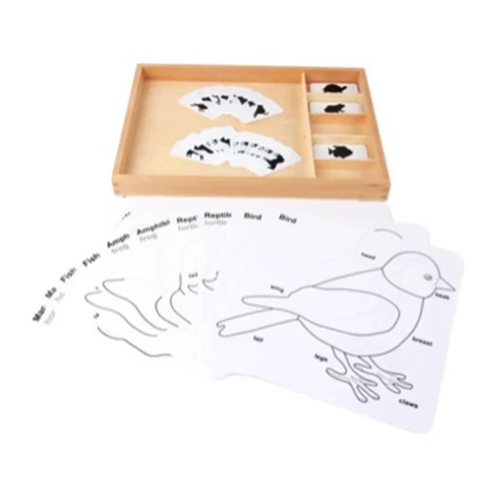 Carte Montessori a 3 Parti con Vassoio di Legno per Ordinamento | Carte Nomenclatura Animali e Piante, Materiale Linguistico Biologia, Giocattolo Educativo Classificazione Scientifica