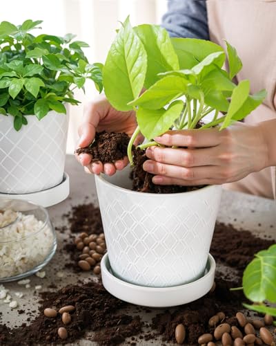 Image of EFISPSS Flower Planter -5 inch Ceramic Plant Pots with Drainage Holes and Ceramic Tray - Gardening Home Desktop Office Windowsill Decoration Gift Set of 4 - Plants NOT Included (White)