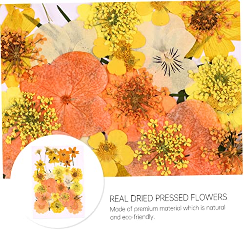 Kit 40 flores secas prensadas elegantes para manualidades miniatura 6