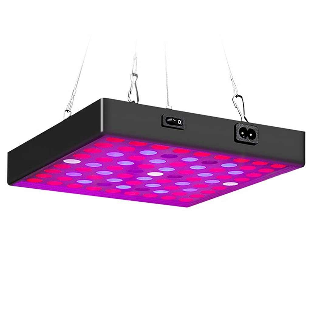 50W LED Crece La Luz,Cobertura de 3x3 Pies Luces de Cultivo de Espectro Completo,para Plantas Hidropónicas de Interior,Lámparas de Cultivo de Invernadero