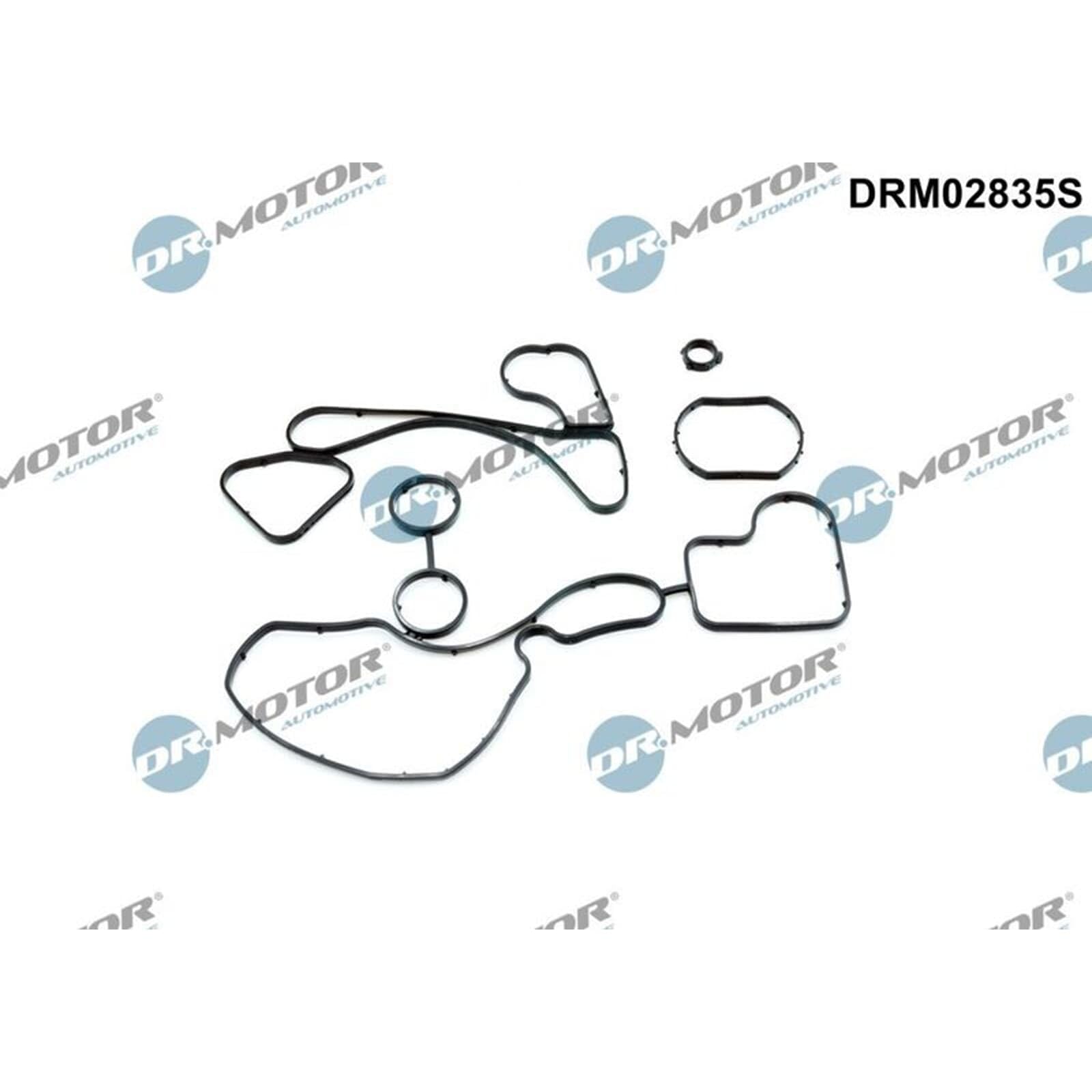DR.MOTOR AUTOMOTIVE DRM02835S Guarnizione Radiatore olio