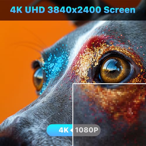 Multi Function 4K OLED monitor