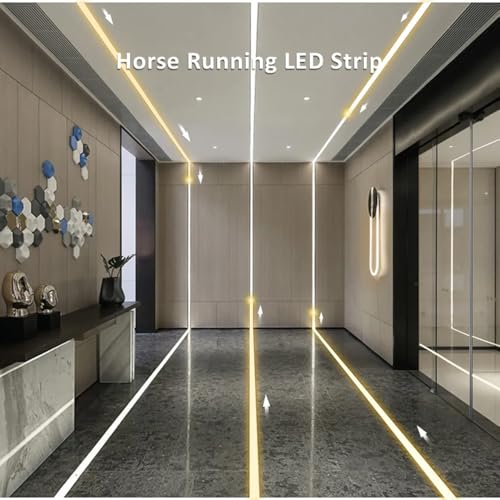 Tira LED COB CCT Dual Color 10M WS2811 con Control miniatura 5