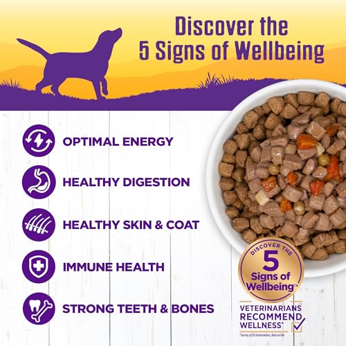 Image of Wellness Complete Health Stew Adult Canned Wet Dog Food, Grain Free, Natural, Beef Recipe, 12.5 oz, Pack of 12 Cans