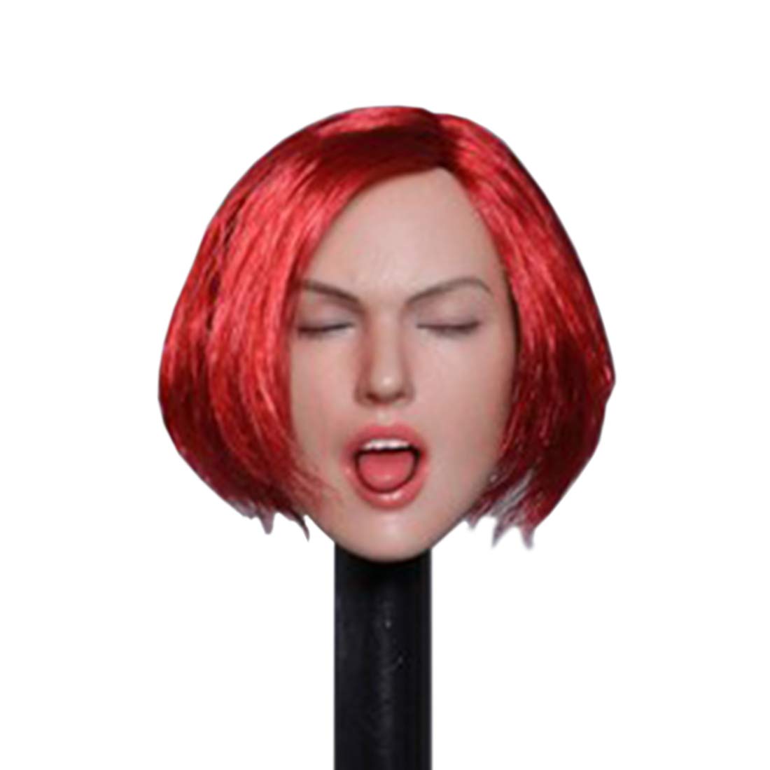 Scakbyer 1/6 Scale Female Head Sculpt, Europe America Women Doll Head Compatible with HT, VERYCOOL, TTL and Phicen TBLeague 12" Action Figure's Body - Red Short Hair