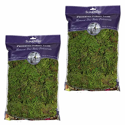 SuperMoss Forest Moss (2 Pack 8oz) - Modern Garden Moss