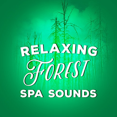 Forest Sounds Relaxing Spa Music Singing Birds