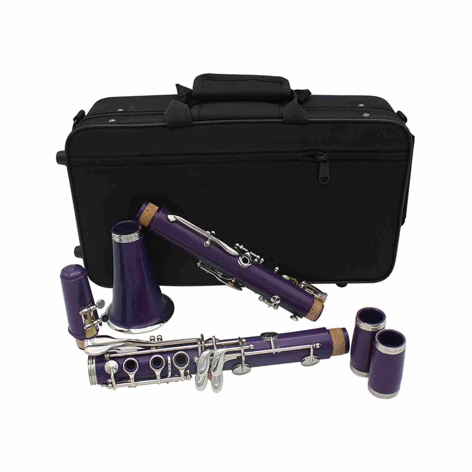Eacam Clarinete B Plano, Instrumento de Viento de Madera ABS 17 Teclas con Estuche 10 Cañas, Paño Limpieza, Destornillador para Estudiantes Principiantes y Músicos (purple)