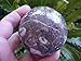 Y0512 Gemqz Turritella Fossil Sphere Large !!!